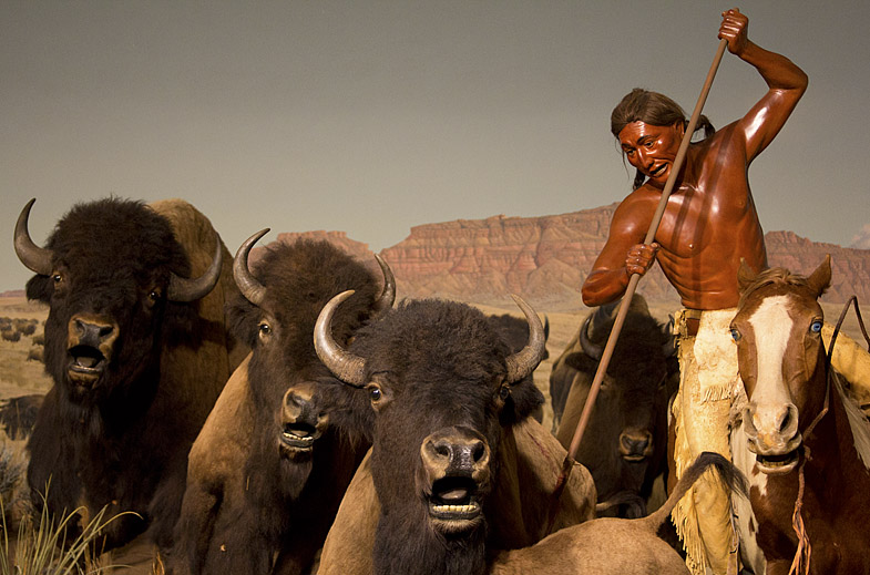 Native American and buffalo